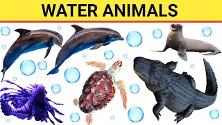 Water Animals Name, Water Animals Vocabulary, Sea Animals, Water Animals Name In Gujarati, P-488