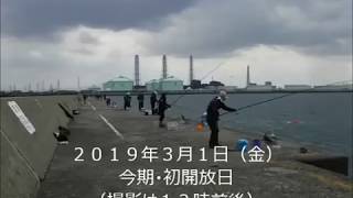 ２０１９年開放初日（３月１日（金））アジＨｉｔ