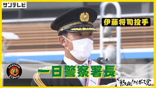 【阪神タイガース】伊藤将司投手「一日警察署長」　#熱血タイガース党