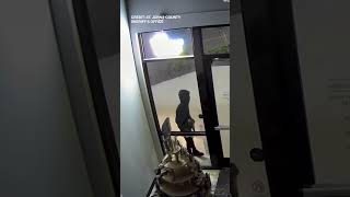 4 Arrested After Vape Shop Break-in Connected to Multiple Burglaries in Florida Counties: SJSO