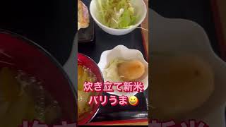 玉名市天水熊本ギョーザ北部農園ギョーザ定食