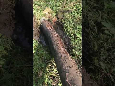 Oddly Satisfying Drainage Clearing Asmr Youtube