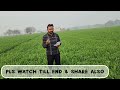 ਕਣਕ ਦੇ ਚੰਗੇ ਝਾੜ ਲਈ ਵਿਉਂਤਬੰਦੀ ਦੇ ਸਵਾਲ ਜਵਾਬ wheat crop 2025 q u0026 a