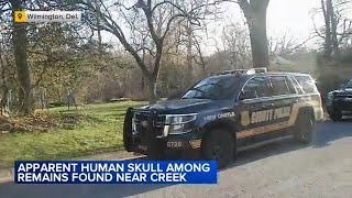 Apparent human skull among remains found along creek in Wilmington, Delaware