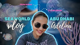 Пингвины и морские приключения в SeaWorld Abu Dhabi + вечерний ужин в Дубае! Смотреть Всем 😍🤩