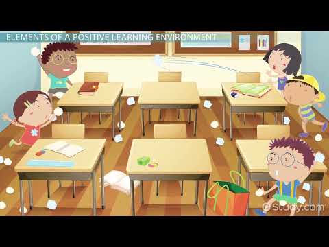 What impact do schools have on the environment?