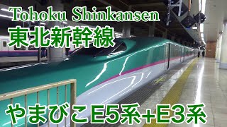 東北新幹線 上野駅【E5系+E3系】到着～発車 やまびこ50号 東京行き