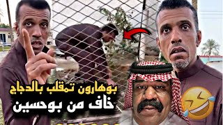 بوهارون تمقلب بالدجاج وخايف من بوحسين 🤣🔥 | سنابات حسين البقشي | علي الشهابي | بوحسين الحساوي