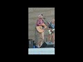 Peter Breinholt Benefit Concert