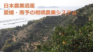 日本農業遺産「愛媛・南予の柑橘農業システム」PR動画（短編）