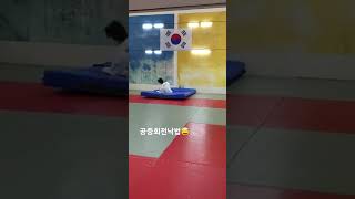 로스쿨생 공중회전낙법 반만 성공하는 영상