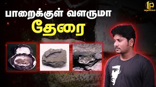 பாறைக்குள் வளருமா தேரை 🤔 | Info pocket