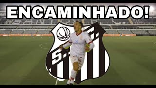 SANTOS ENCAMINHA A CONTRATAÇÃO DE FRANCO CRISTALDO!