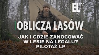 Jak i gdzie zanocować w lesie na legalu? Pilotaż LP | OBLICZA LASÓW #94