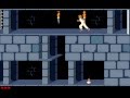 Prince of Persia Longplay (Amiga) [50 FPS]