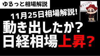 【11月25日のゆるっと相場解説】動き出したか日経平均株価？長い沈黙からの爆上げになるのか？ズボラ株投資