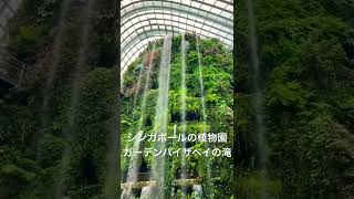 【放浪好き海外生活】シンガポールの植物園にある滝　ガーデンバイザベイ