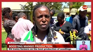 MARKUP Kenya partners with KALRO to train mango tree seedlings operators on clean planting material