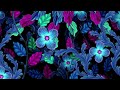 Neon Flower Light Background 4K VJ Loop Video | No Copyright Background Video