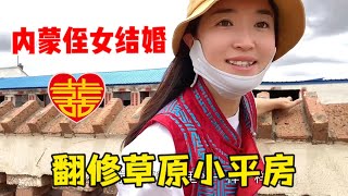 【牧牧】167 为啥牧民有钱却住平房？内蒙养羊大户为女备婚，24岁侄女安家城市