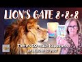 LION'S GATE 8•8•8 Love Tarot Reading: There's SO much happiness available to you! ALL ZODIAC