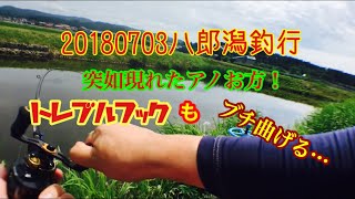 【八郎潟バス釣り】 20180703 八郎潟釣行 突如現れたアノお方！？トレブルフックもブチ曲げる…