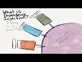 Dependency Injection Example Program in Java - Intact Abode