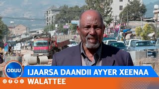 IJAARSA DAANDII AYYER XEENAA WALATTEE