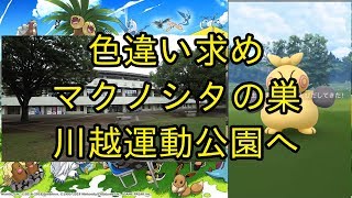 【ポケモンＧＯ】マクノシタの巣になった川越運動公園へ