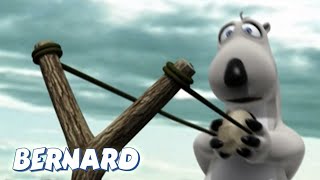 🐻‍❄️ Bernard Learns Archery: Aim with Caution! | Full Episodes | VIDEOS and CARTOONS FOR KIDS