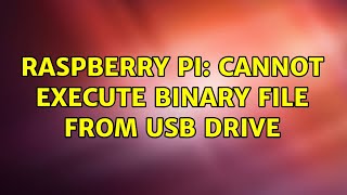 Raspberry Pi: Cannot execute binary file from USB drive