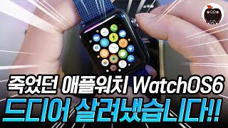 WatchOS6로 죽었던 애플워치 드디어 살려냈습니다~!! 와~!!