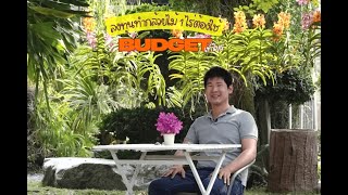 ลงทุนทำกล้วยไม้ 1 ไร่ต้องใช้ BUDGET เท่าไหร่