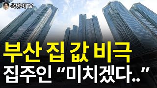 부산 광역시 부동산 '현 상황', 앞으로 부산 부동산은 이렇게 됩니다 [부동산 아파트 집 값 전망]