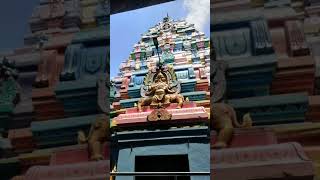 Sri Mavullamma Vari Temple | Sri Someswara Temple| devotional and worthy places in Bhimavaram #WG