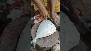 Amazing Huge Size Perfect Black Pomfret Fish Cutting Live In Bangladesh || #shorts #fishing #fish