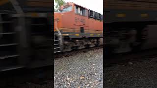 Ns train horn show