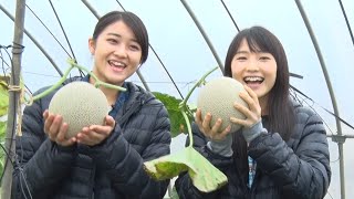 ピーベリー「SATOYAMA movement メロンカレー」前編