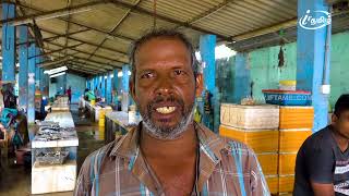 யாழ்ப்பாண மீன் சந்தையில் குவியும் மீன்கள் | Jaffna Fish Market