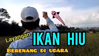 LAYANGAN IKAN HIU BERENANG DI UDARA,layangan unik