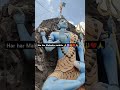 Mahadev 🙏 shubh somvar har har Mahadev 🕉️🔱🙏#bholenathsabkesath#youtubeshorts #@SoniSoni-tj1cr