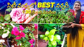 🔴Best Nursery in Hyderabad | Plant Prices Starting at ₹30 | Flower \u0026 Outdoor Plants