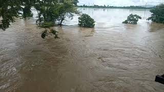 Bokajan flood at Paklangso, Adorsha, Hanjanglangso Area(2)