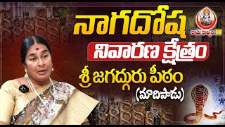 నాగదోష నివారణ క్షేత్రం శ్రీ జగద్గురు పీఠం|| Nagadosham Nivarana Pariharalu  in Telugu ||