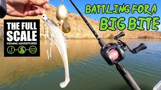 Battling for a BIG Bite | The Full Scale