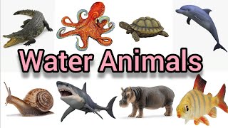 water Animals | जल मैं रहेने वाले जंतुओं के नाम | जलीय जंतू | समुंद्री जीव |