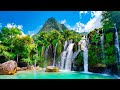 dominica 4k exploring lush rainforests and the pristine beauty of the caribbean s nature island