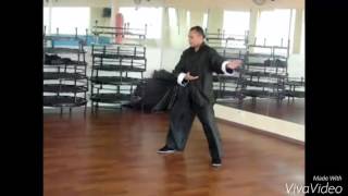 Mestre  Roberto de Tai Chi Chuan Forma  24