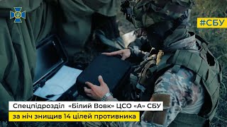 Полювання на фронті у розпалі: спецпідрозділ «Білий вовк» ЦСО «А» СБУ за ніч знищив 14 цілей