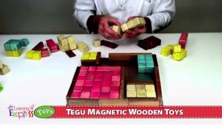 Tegu Magnetic Wooden Toys